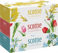413309 Crecia "Scottie Flowerbox" Салфетки двухслойные  3Х250шт 413309
